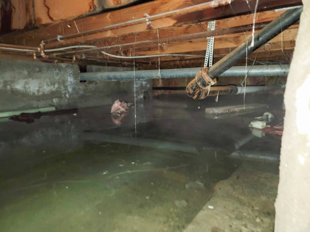 Best Flooded house restoration  in Cherokee, NC