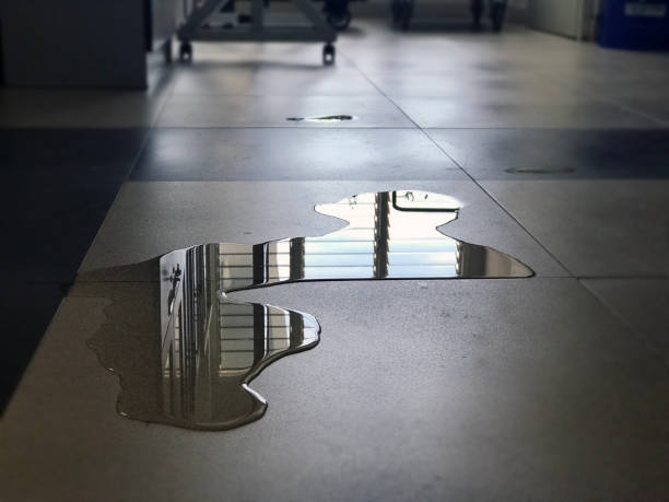 Best Water damage restoration near me  in Cherokee, NC