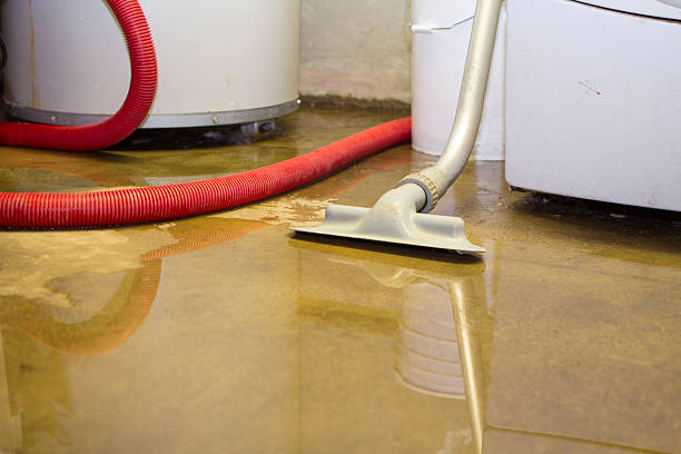 Best Water damage cleanup near me  in Cherokee, NC